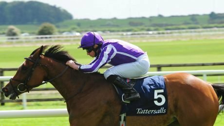 Magical performance can eclipse Enable at Sandown